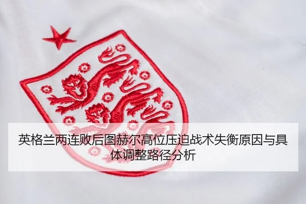 ying-ge-lan-liang-lian-bai-hou-tu-he-er-gao-wei-ya-po-zhan-shu-shi-heng-yuan-yin-yu-ju-ti-tiao-zheng-lu-jing-fen-xi-2-100.jpg